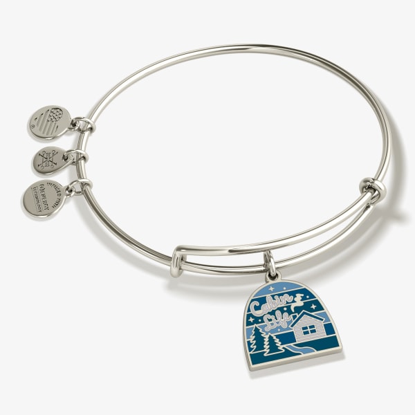 /fast-image/h_600/a-n-a/products/cabin-life-charm-bangle-bracelet-AA675722SS.jpg