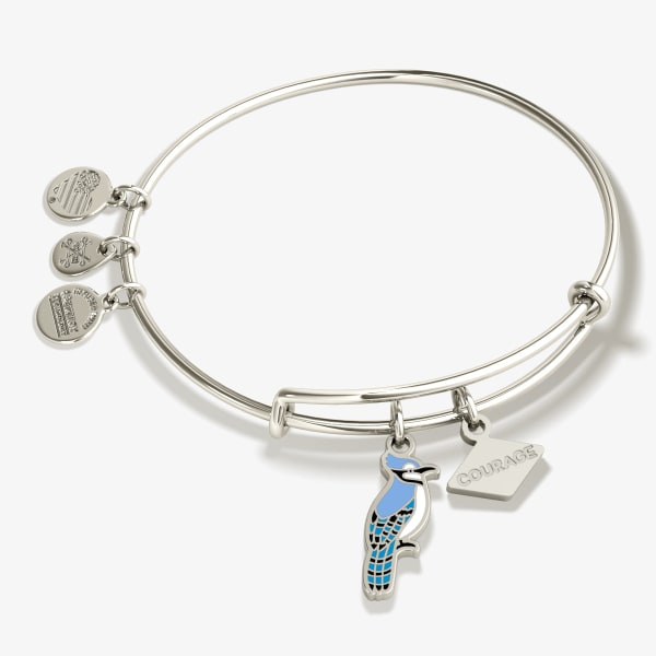 /fast-image/h_600/a-n-a/products/courage-blue-jay-charm-bangle-bracelet-AA691922SS.jpg