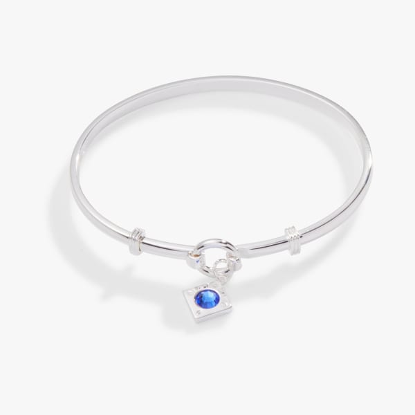 /fast-image/h_600/a-n-a/products/crystal-charm-tension-clip-bangle-sapphire-AA734122SS.jpg