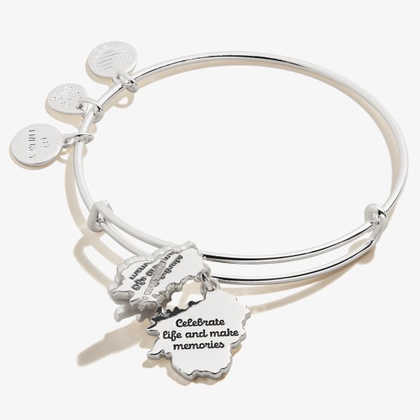 /fast-image/h_600/a-n-a/products/delphinium-flower-charm-bangle-bracelet-front2-A21EBDELSS.jpg
