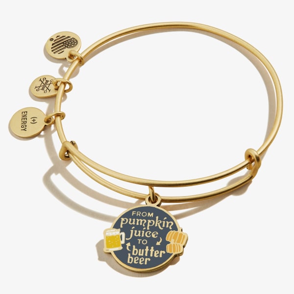 /fast-image/h_600/a-n-a/products/harry-potter-from-pumpkin-juice-to-butter-beer-charm-bangle-bracelet-front-AS21HPSEPRG.jpg