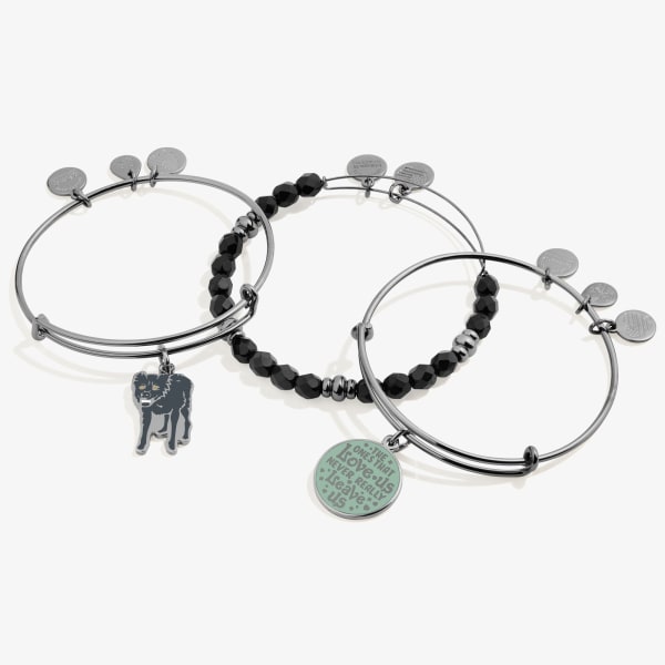 /fast-image/h_600/a-n-a/products/harry-potter-sirius-black-bangle-bracelets-set-of-3-alt-AS681222RTH.jpg