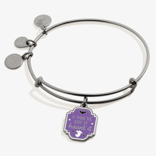 /fast-image/h_600/a-n-a/products/if-youve-got-it-haunt-it-charm-bangle-bracelet-AA675222RTH.jpg