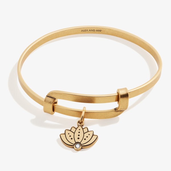 ALEX AND ANI Aruba bracelet bangle charms adjustable bronze brass Tan - $5  (87% Off Retail) - From Hannah