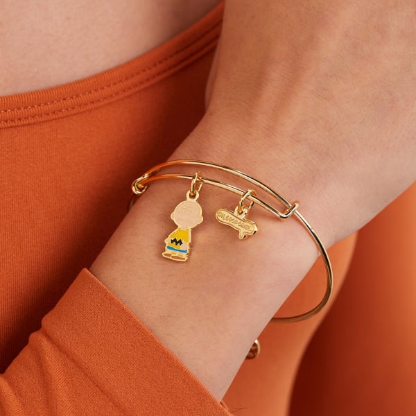 /fast-image/h_600/a-n-a/products/peanuts-charlie-brown-oh-good-grief-duo-charm-bangle-bracelet-onmodel-AS21PNUTS1SG30268.jpg